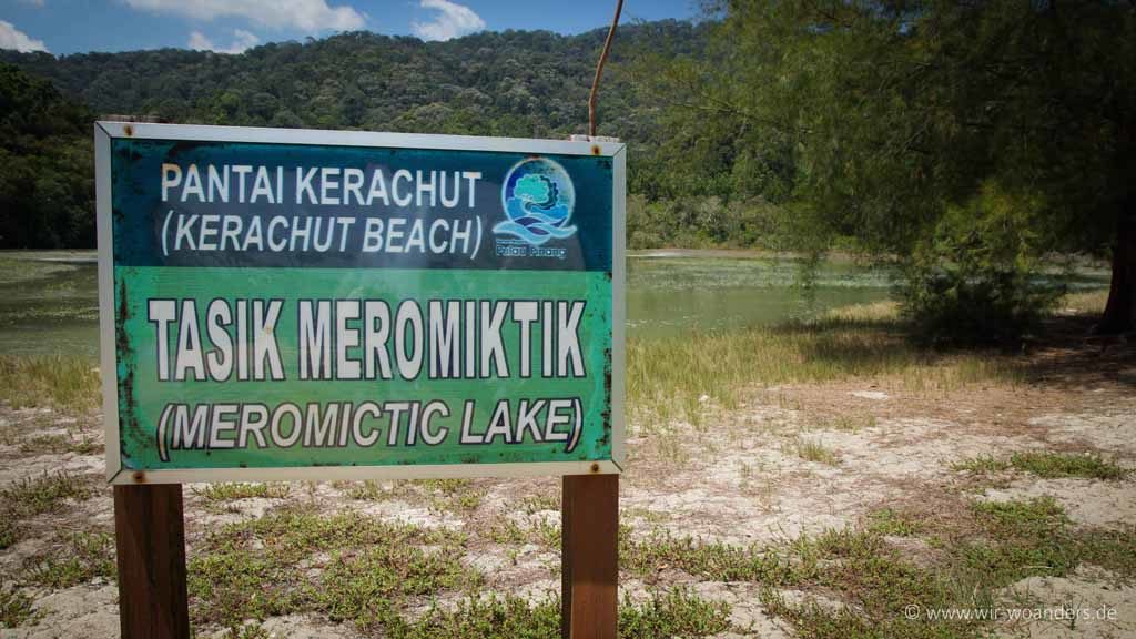 meromiktik lake taman negara pulau penang pinang