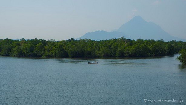 wetlands_borneo_sarawak