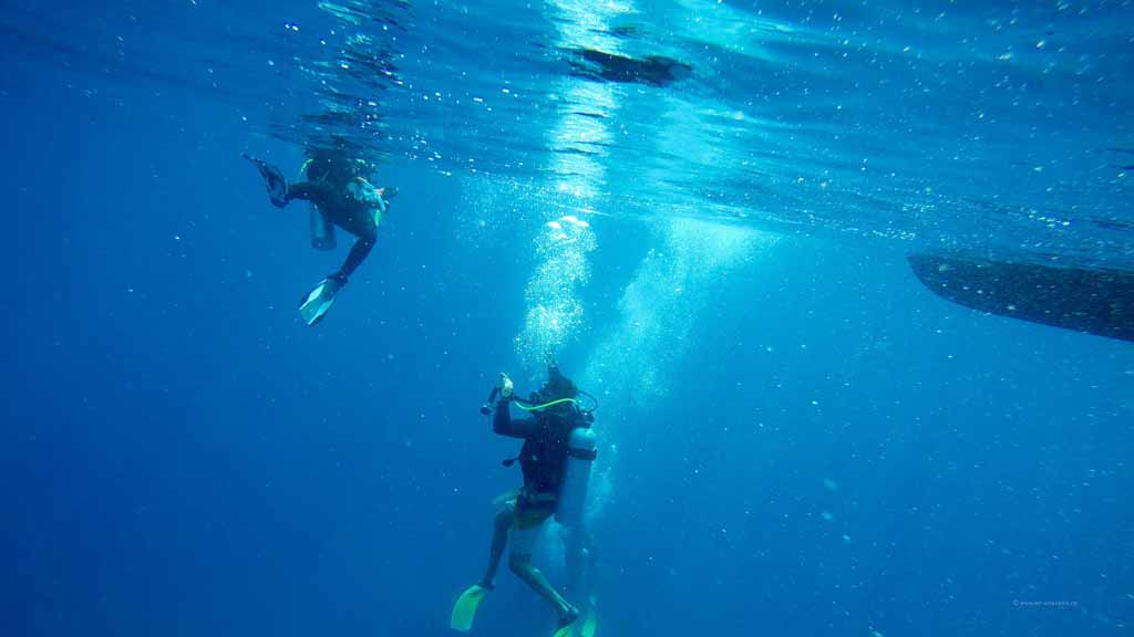 open_water_diving_perhentian_islands_padi