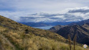 roadtrip nz wanaka