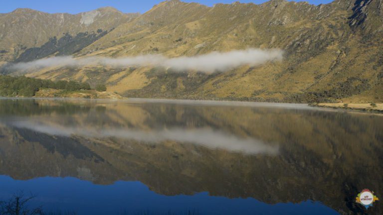 roadtrip nz wanaka