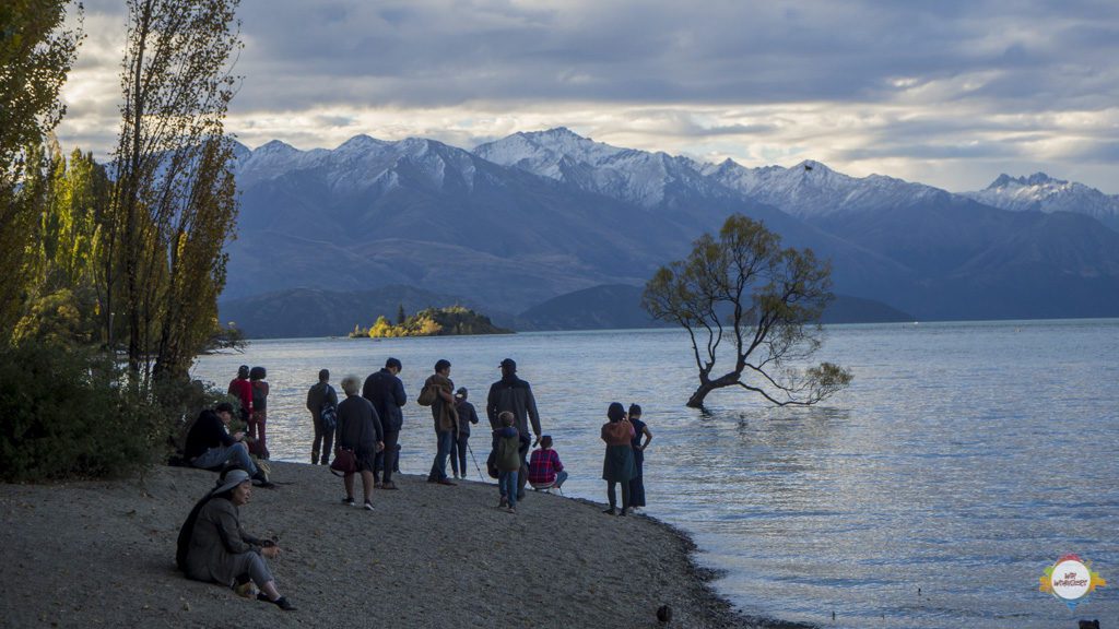 roadtrip nz wanaka