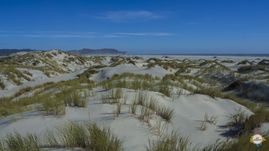 golden_bay_abel_tasman