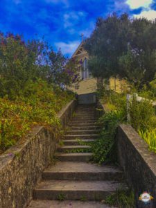 Cove Walkway East Cape