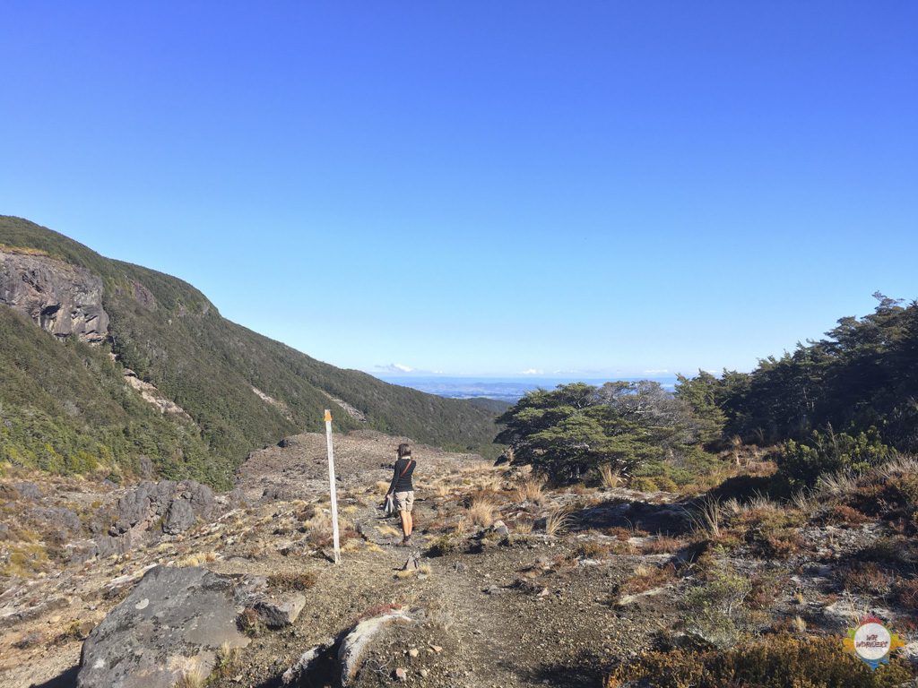 ohakune_tongariro_nationalpark