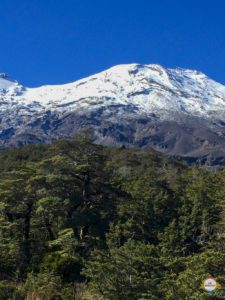 ohakune_tongariro_nationalpark