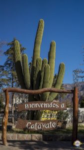 bienvenidos cafayate