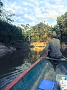 Amazonas Tierwelt