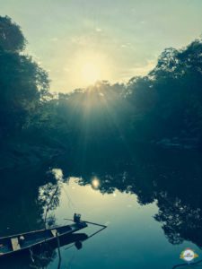 Amazonas Tierwelt